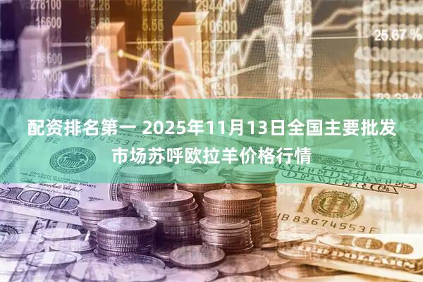配资排名第一 2025年11月13日全国主要批发市场苏呼欧拉羊价格行情