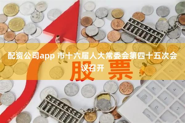 配资公司app 市十六届人大常委会第四十五次会议召开